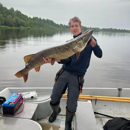 Vīrietis ar lielu līdaku laivā, Daugava fonā.
